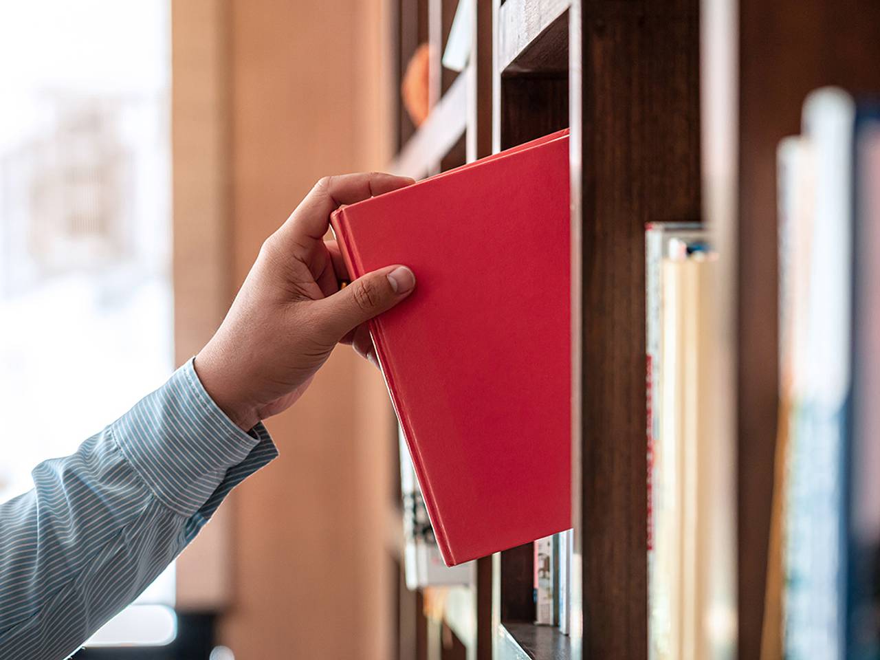 В России создали реестр книг с упоминанием наркотиков